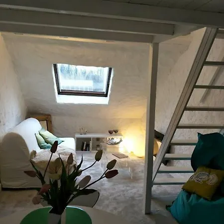 Cosy, Dijon